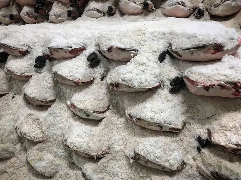 Guide : Production du jambon ibérique