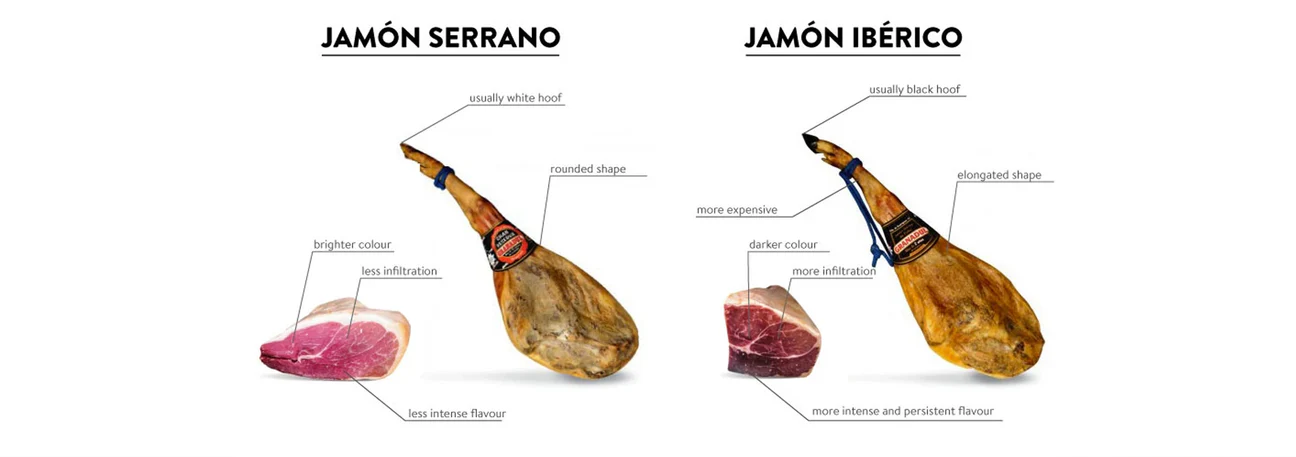 Principales différences : jambon ibérique vs jambon serrano