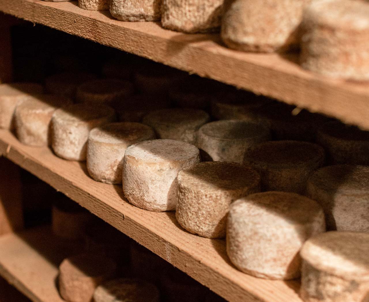 Cave d'affinage traditionnelle pour fromages espagnols meules en maturation