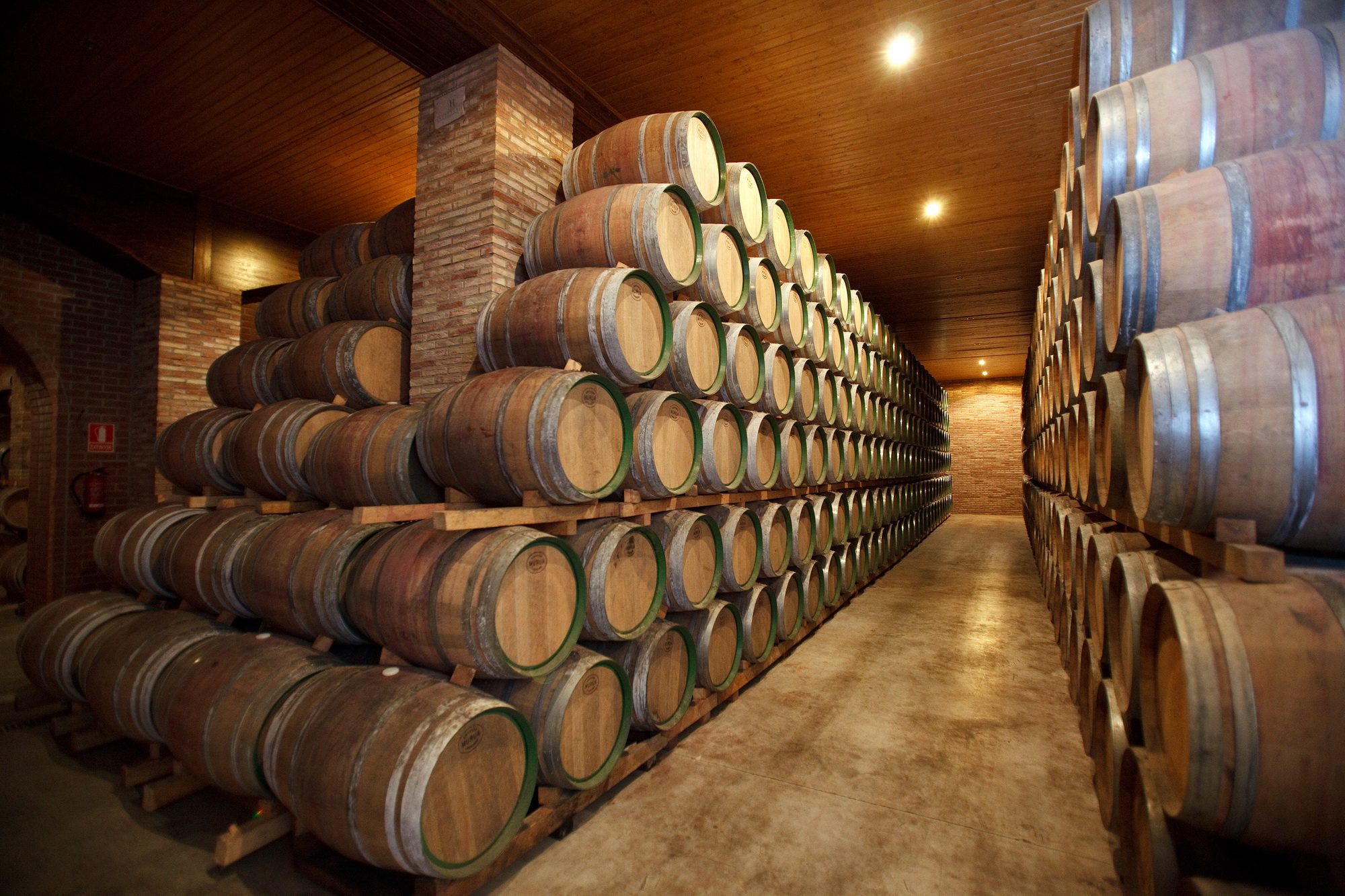 Cave espagnole traditionnelle avec fûts de chêne et vieillissement sous appellation contrôlée