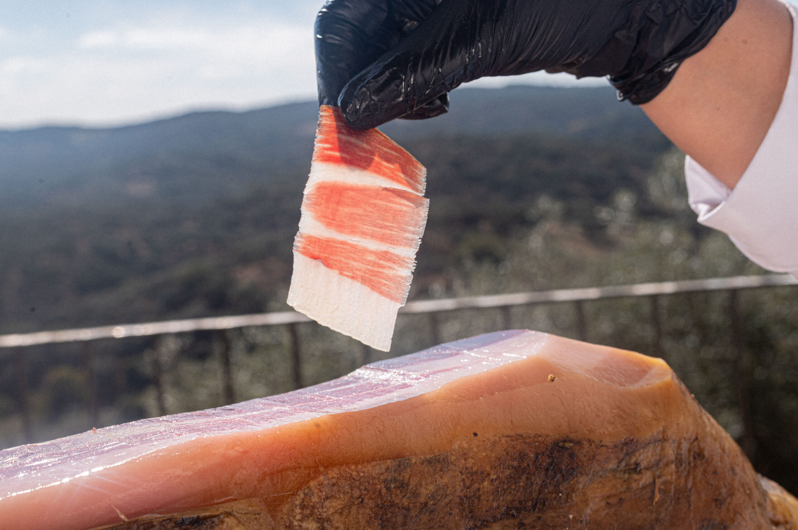 Jambon ibérique certifié en découpage avec sceau de couleur et marquage de race visible