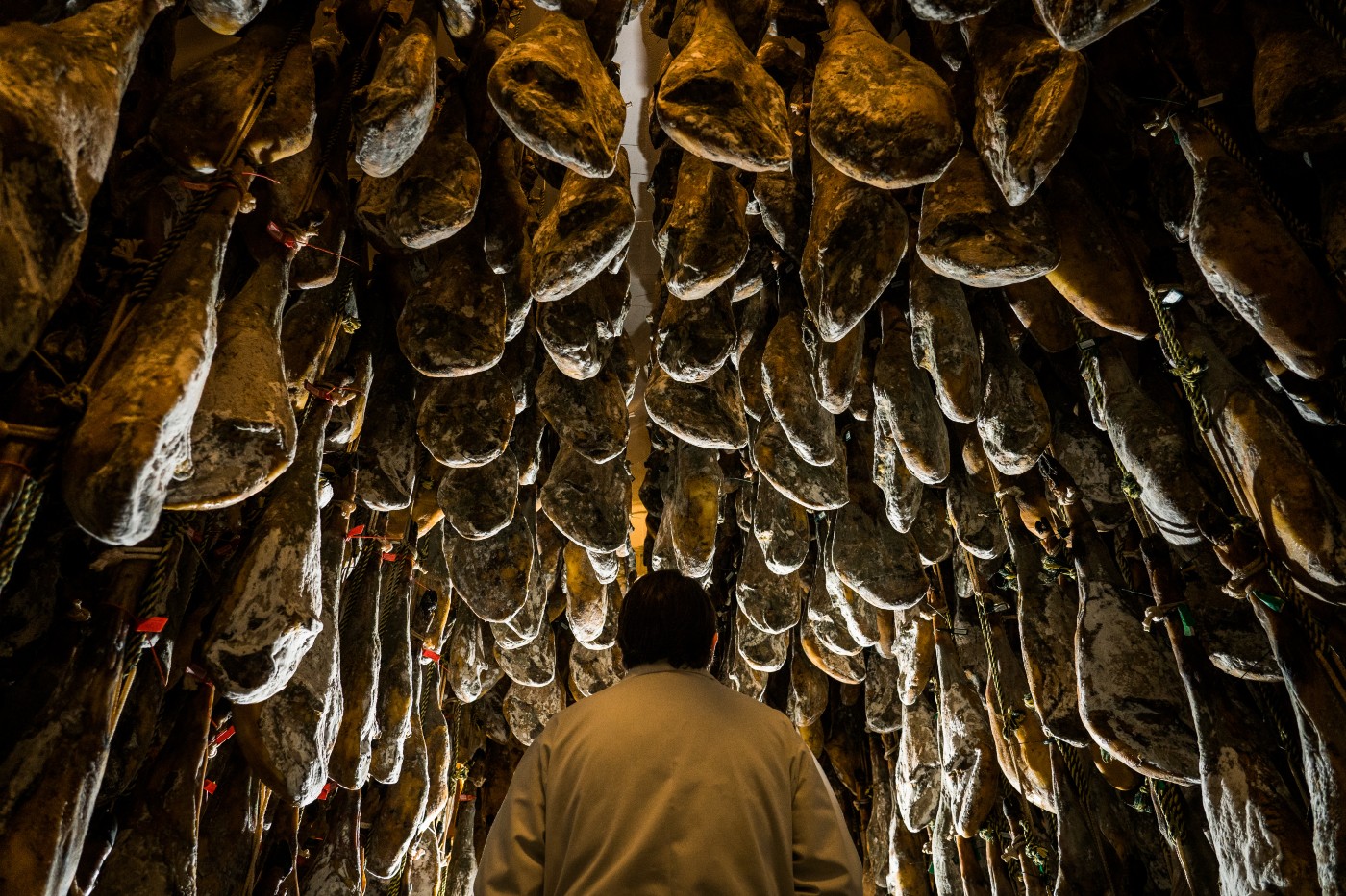 Bodega traditionnelle avec pieces de jambon ibérique en cours d affinage