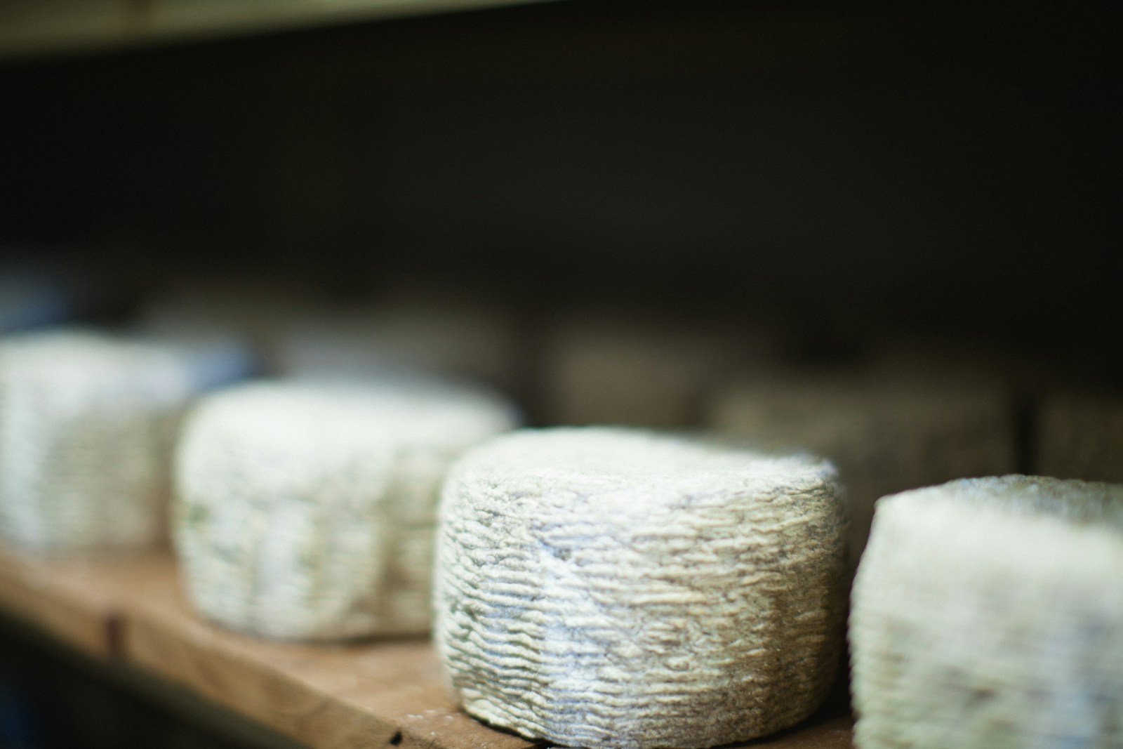 Meules de fromage de brebis espagnol en cours d'affinage sur étagères en bois