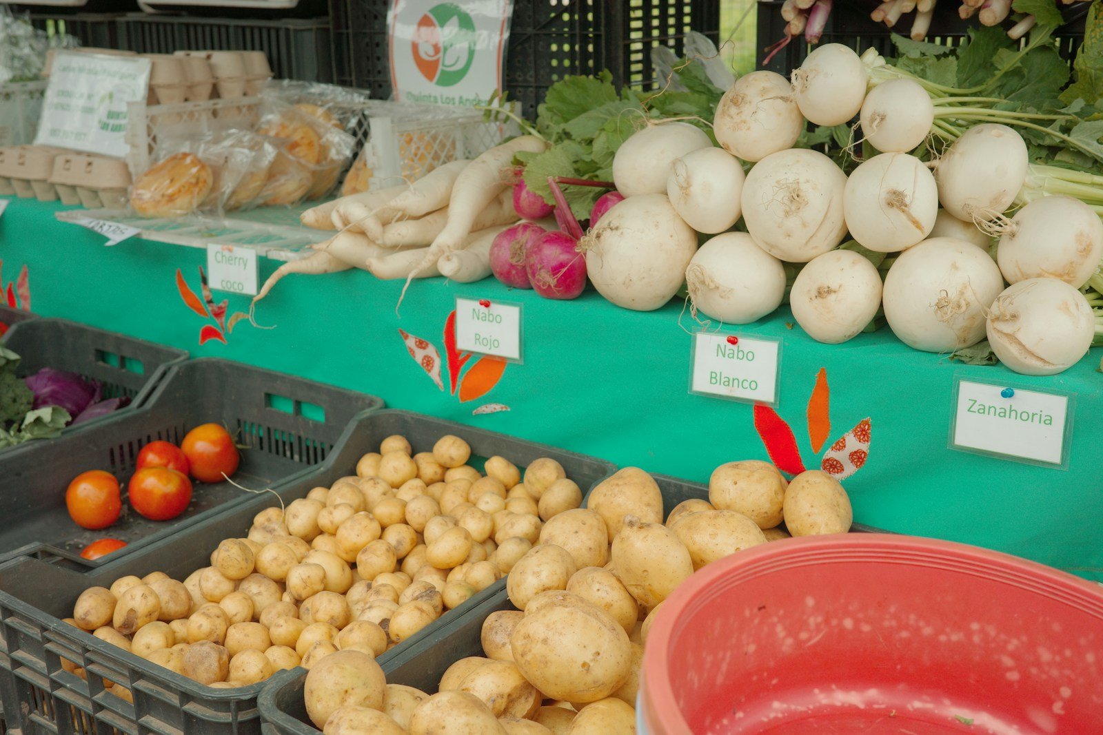 Sélection de légumes de saison sur un étal de marché pour une réception